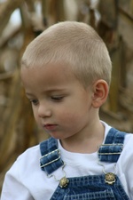 Enlarge photo 105
