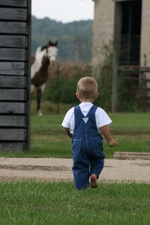 Enlarge photo 103