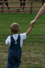 Enlarge photo 93