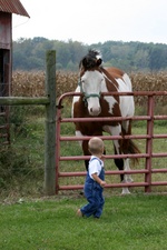 Enlarge photo 91
