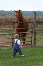 Enlarge photo 89