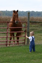 Enlarge photo 87