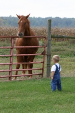 Enlarge photo 83