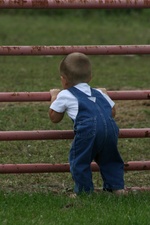 Enlarge photo 85