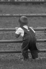 Enlarge photo 84