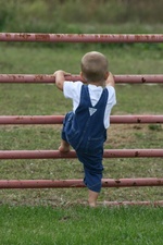 Enlarge photo 79