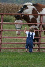 Enlarge photo 78