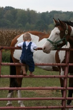 Enlarge photo 73