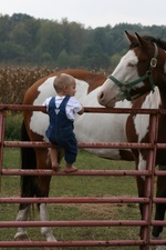 Enlarge photo 71