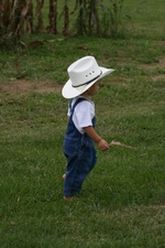 Enlarge photo 54