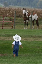 Enlarge photo 48