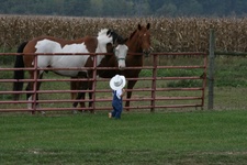 Enlarge photo 36