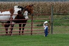 Enlarge photo 42