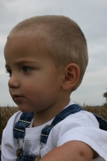 Enlarge photo 34