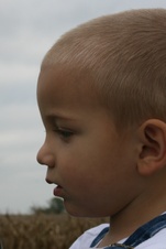 Enlarge photo 31