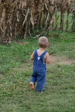 Enlarge photo 25