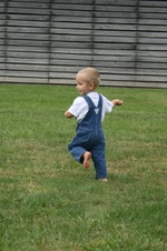 Enlarge photo 12