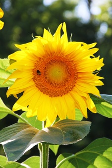 Enlarge photo 5