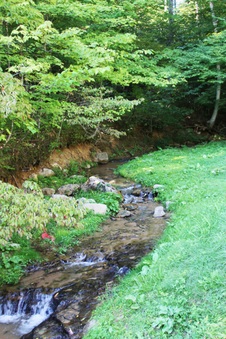 Enlarge photo 7