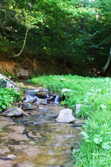 Enlarge photo 8