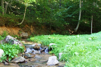 Enlarge photo 9