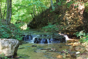 Enlarge photo 10