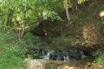 Enlarge photo 14