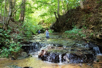 Enlarge photo 15