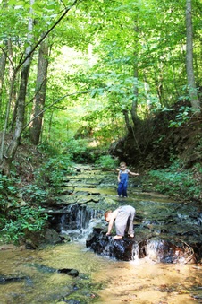 Enlarge photo 16