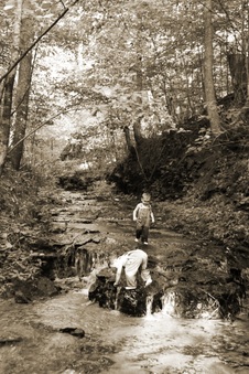 Enlarge photo 17