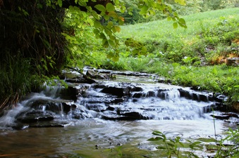 Enlarge photo 25