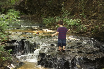 Enlarge photo 40