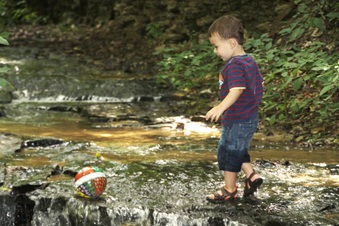 Enlarge photo 41