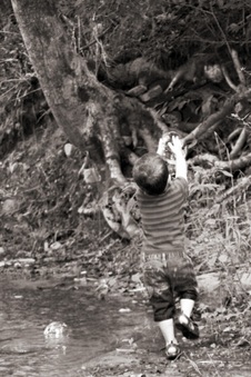 Enlarge photo 45