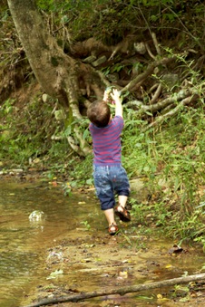Enlarge photo 46