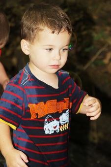Enlarge photo 60