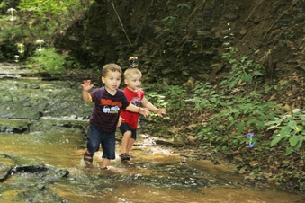Enlarge photo 67