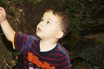 Enlarge photo 69