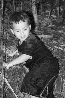 Enlarge photo 70