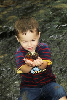 Enlarge photo 81