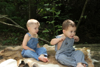 Enlarge photo 112