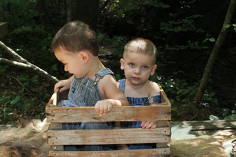 Enlarge photo 133