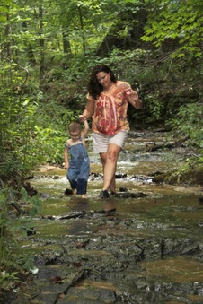 Enlarge photo 143