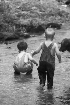 Enlarge photo 164