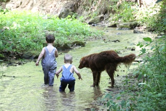 Enlarge photo 166