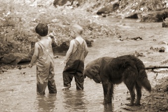 Enlarge photo 167