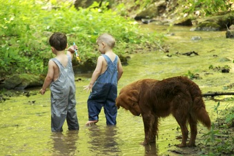 Enlarge photo 168