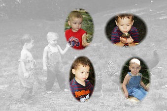 Enlarge photo 169