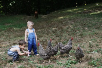 Enlarge photo 172