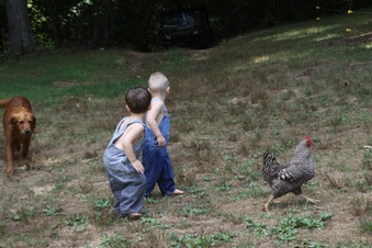 Enlarge photo 173